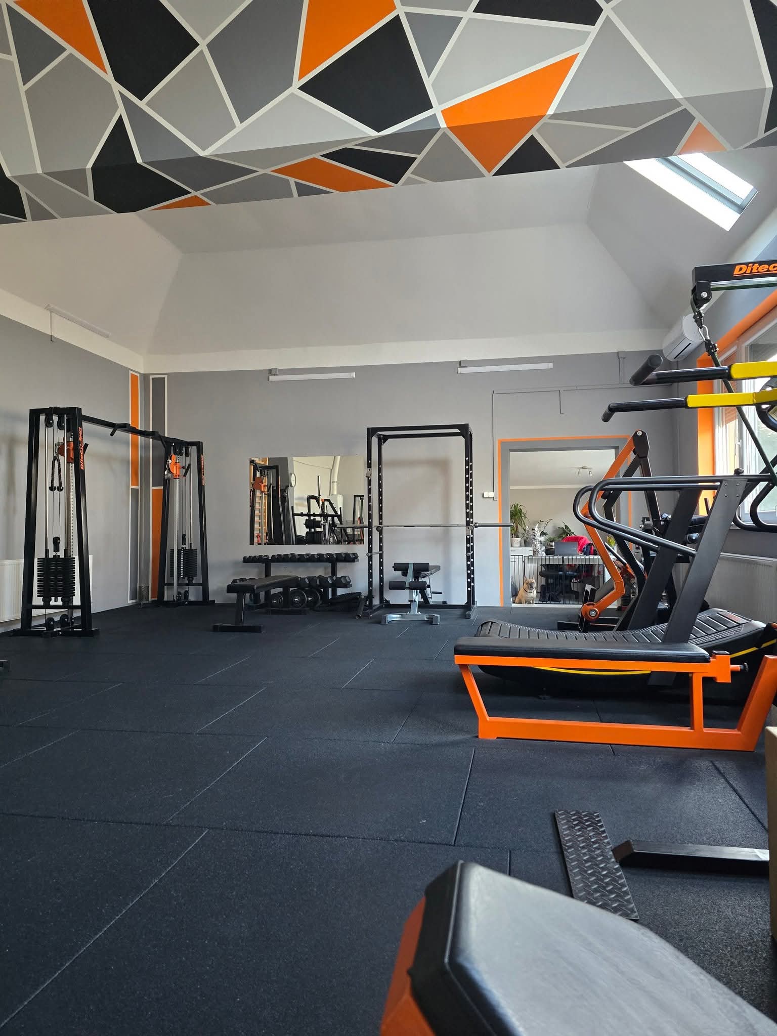 Főnix Fitness edzőterem